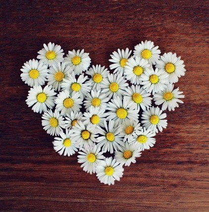 heart symbol made with two hands with a sunset background